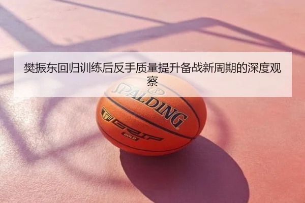 樊振东回归训练后反手质量提升备战新周期的深度观察